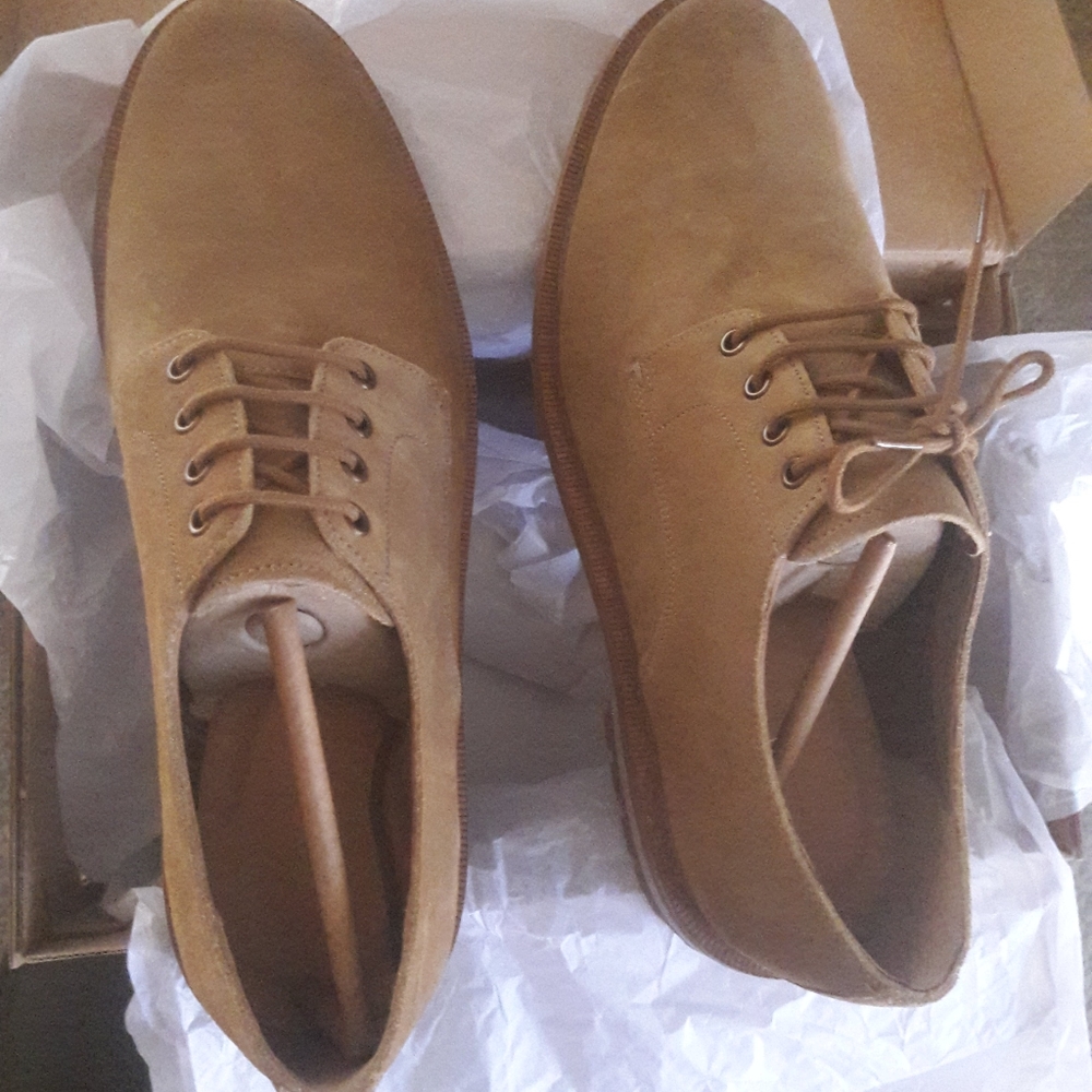 Men's NIB Clark's shows